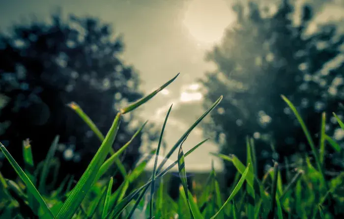 一些戳心窝子的文案