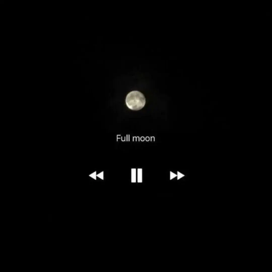 适合官宣的短句文案