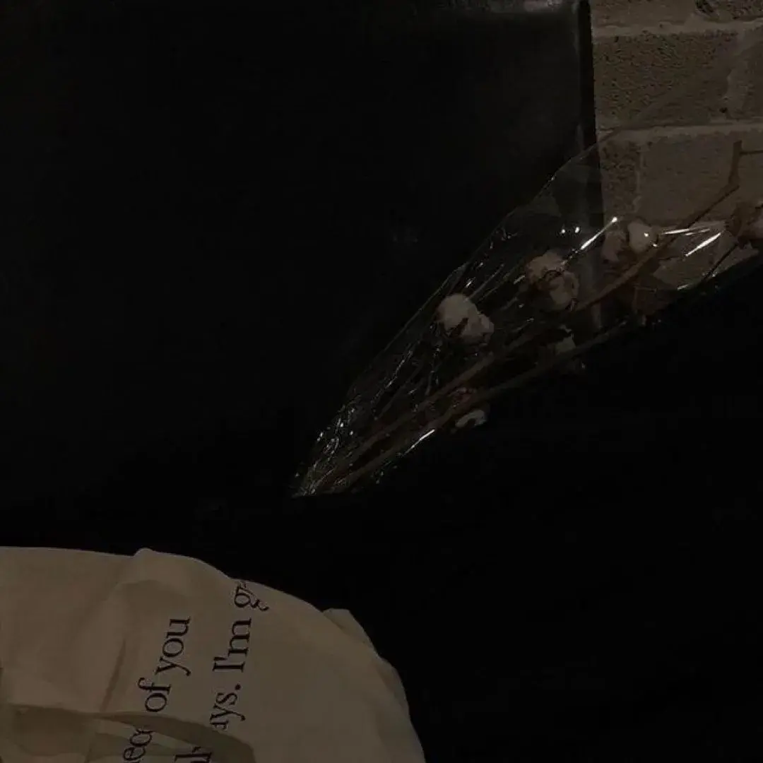 适合官宣的短句文案