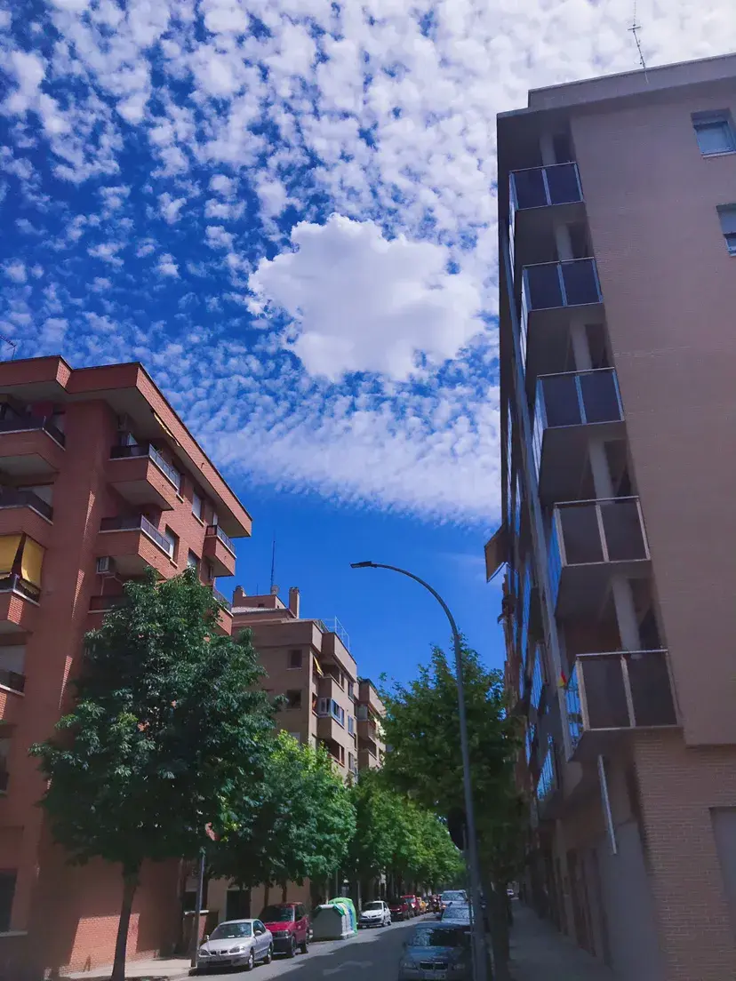 文案|自己强，比什么都强， 要知道，寻找一棵大树好乘凉