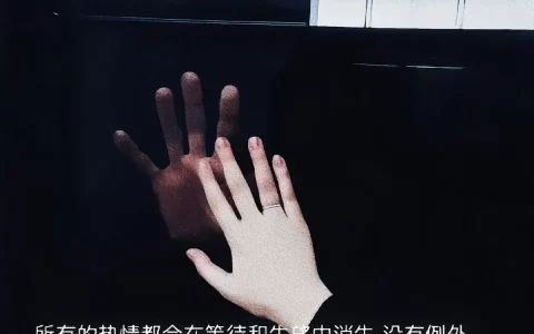 文案/让人瞬间破防的伤感文案