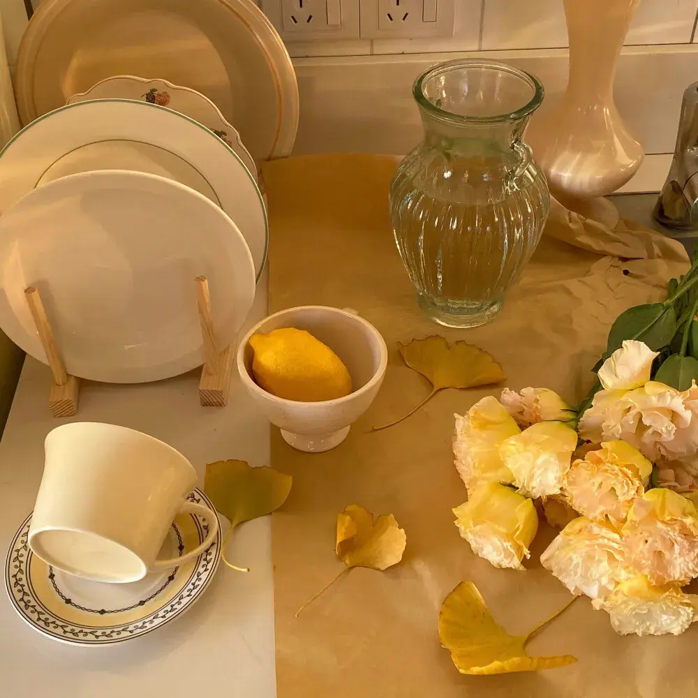 简单又高级的日常文案 “你看这世界开满了花”