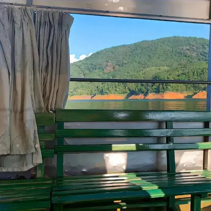 简单又高级的日常文案 “你看这世界开满了花”