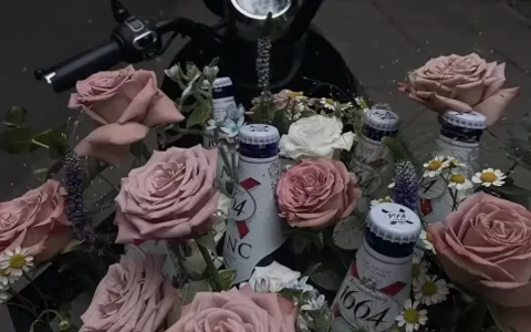 简单又高级的日常文案 “你看这世界开满了花”