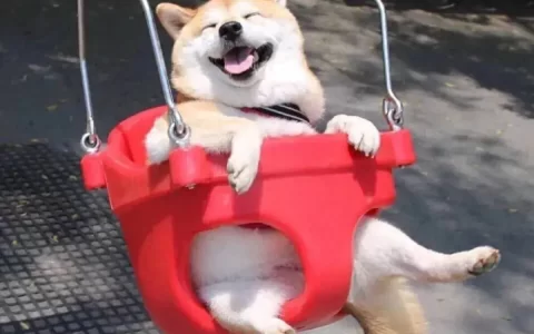 文案||那些发朋友圈的搞怪文案