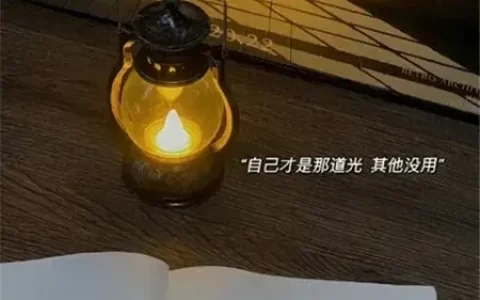 文案|10句置顶很久的清醒文案