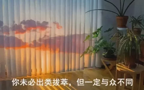 文案｜那些干净又治愈的清醒文案