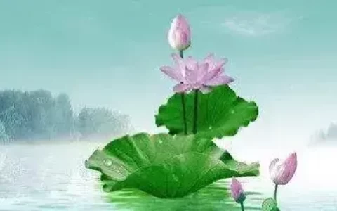 今日文案:在世间，属于自己的东西，只有自己的内心