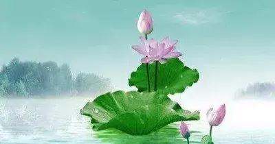 今日文案:在世间，属于自己的东西，只有自己的内心