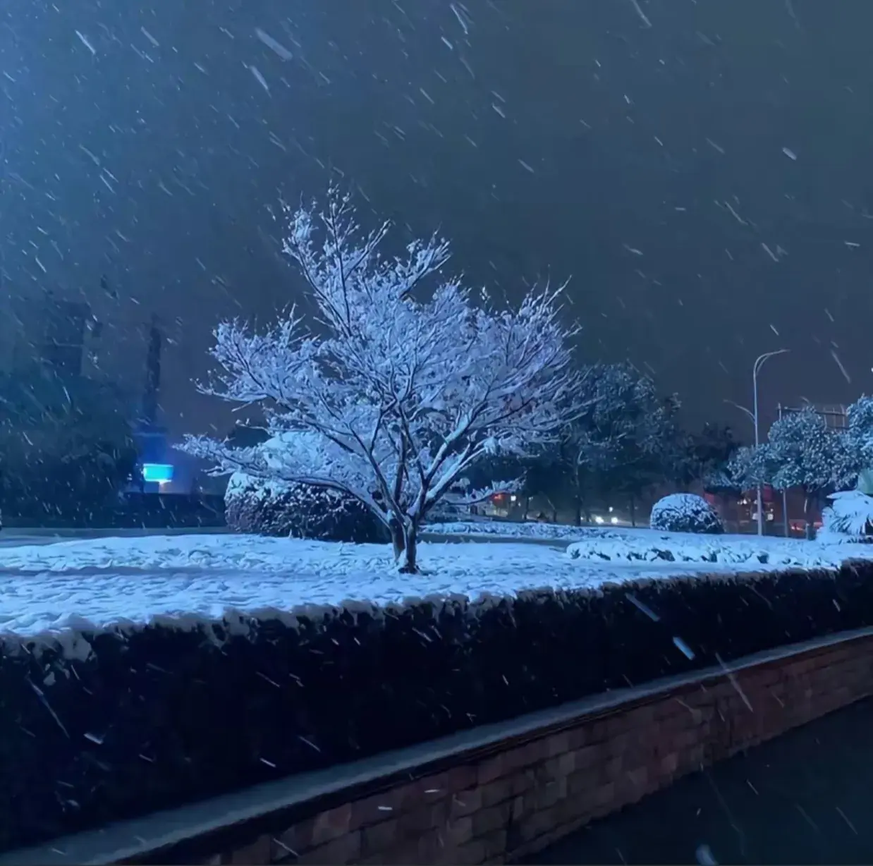 度娘永远搜不到的高级文案