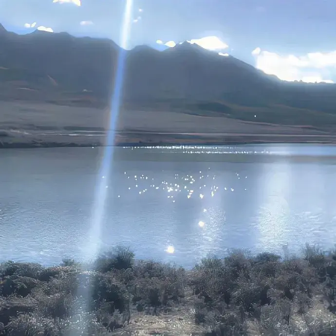 度娘永远搜不到的高级文案