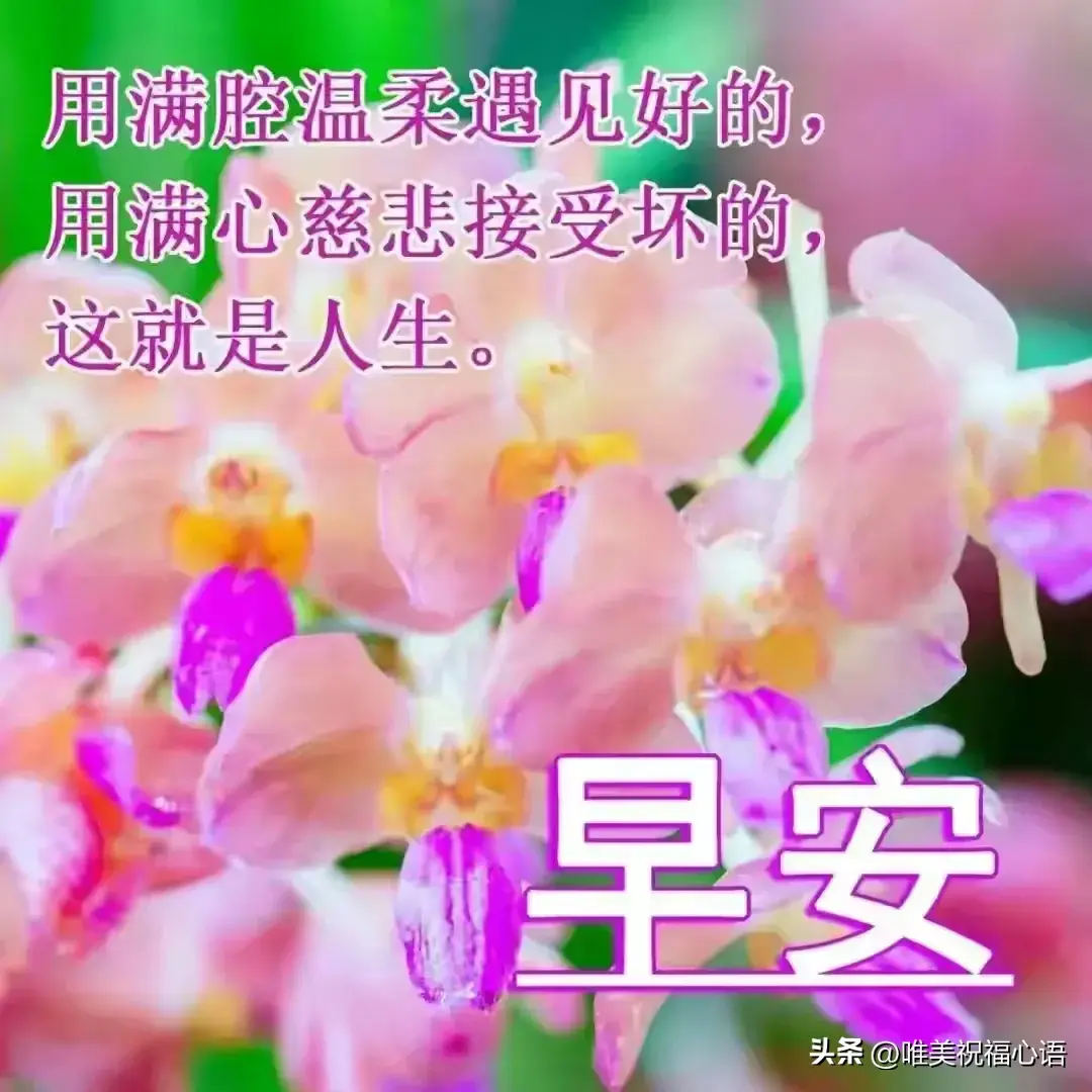 早安心语图片正能量文案：时光不会逆行，把握每一个属于你的清晨