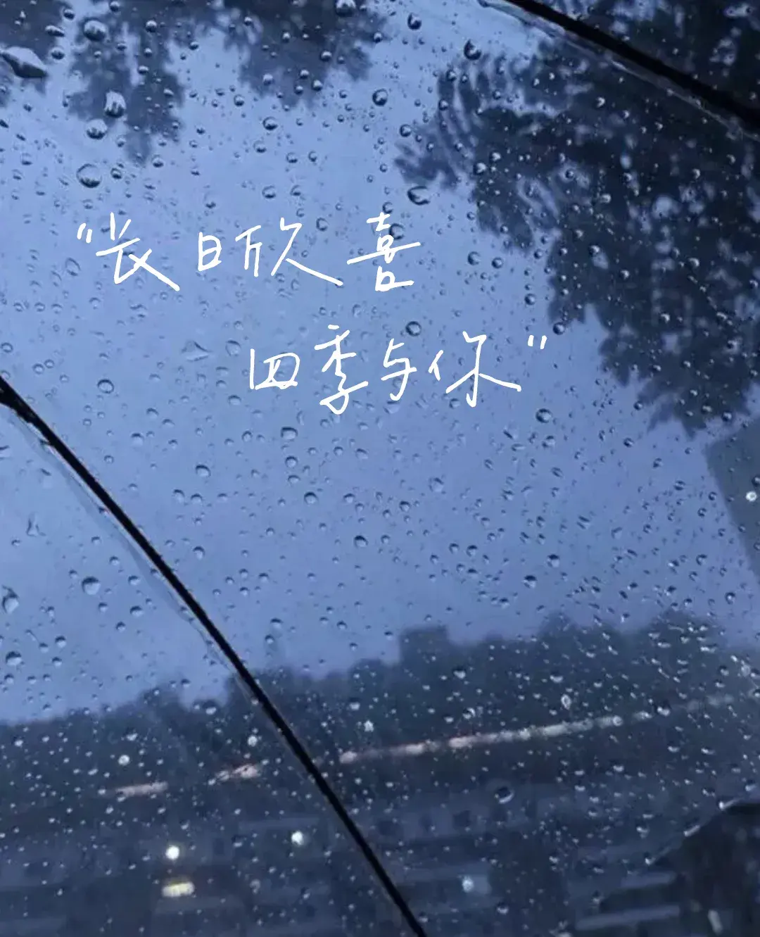 文案｜那些超温柔的治愈文案，你要去成为星星一样的人