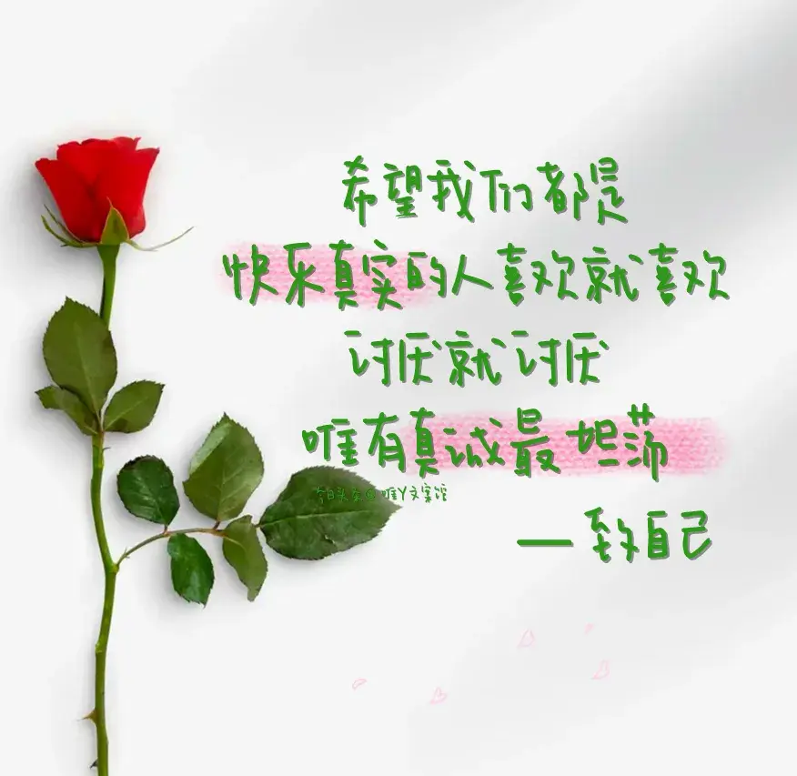 文案｜那些超温柔的治愈文案，你要去成为星星一样的人