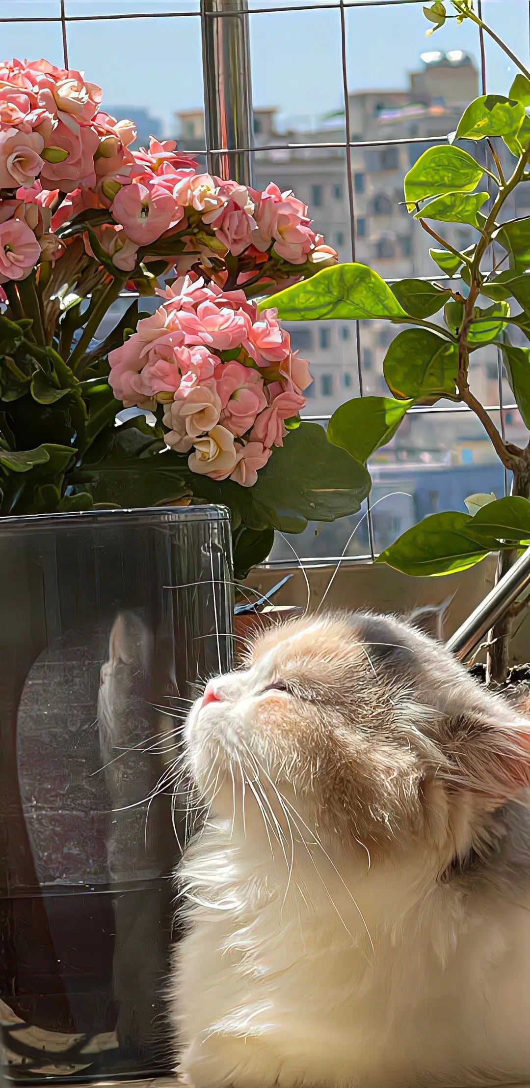 度娘都搜不到的走心文案