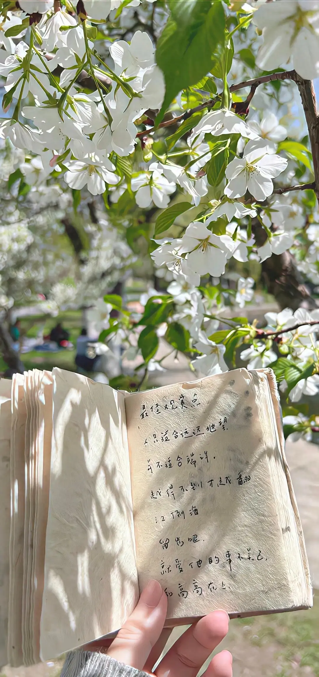 度娘都搜不到的走心文案