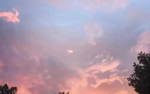 干净治愈的短句文案