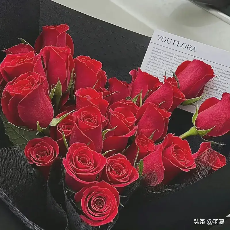 浪漫小众的高级文案