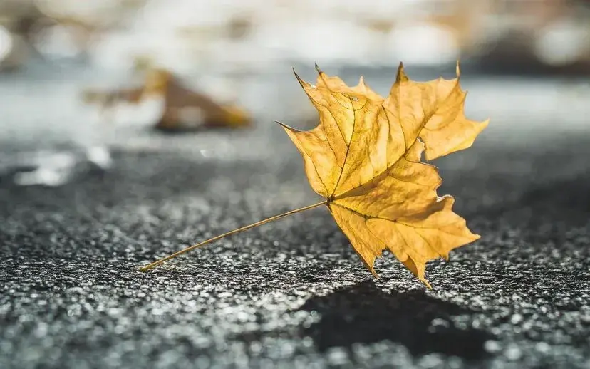 文案|比起诉说自己的不满，沉默最好