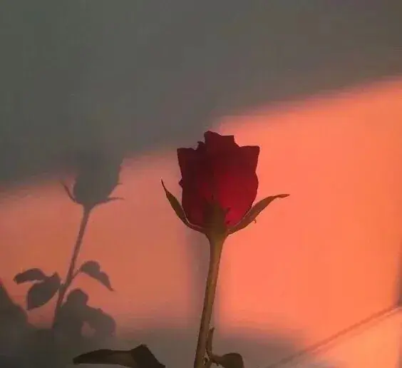 文案|比起诉说自己的不满，沉默最好