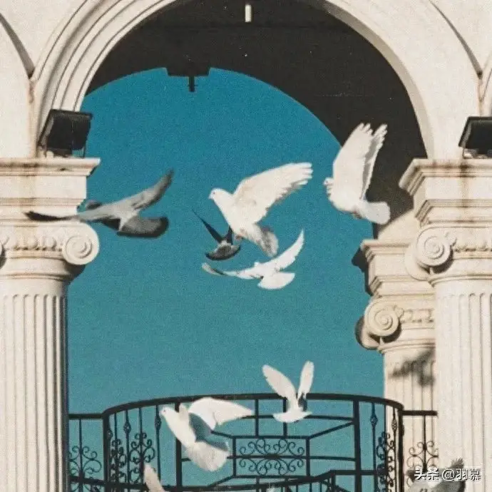 简短的无风格发圈文案