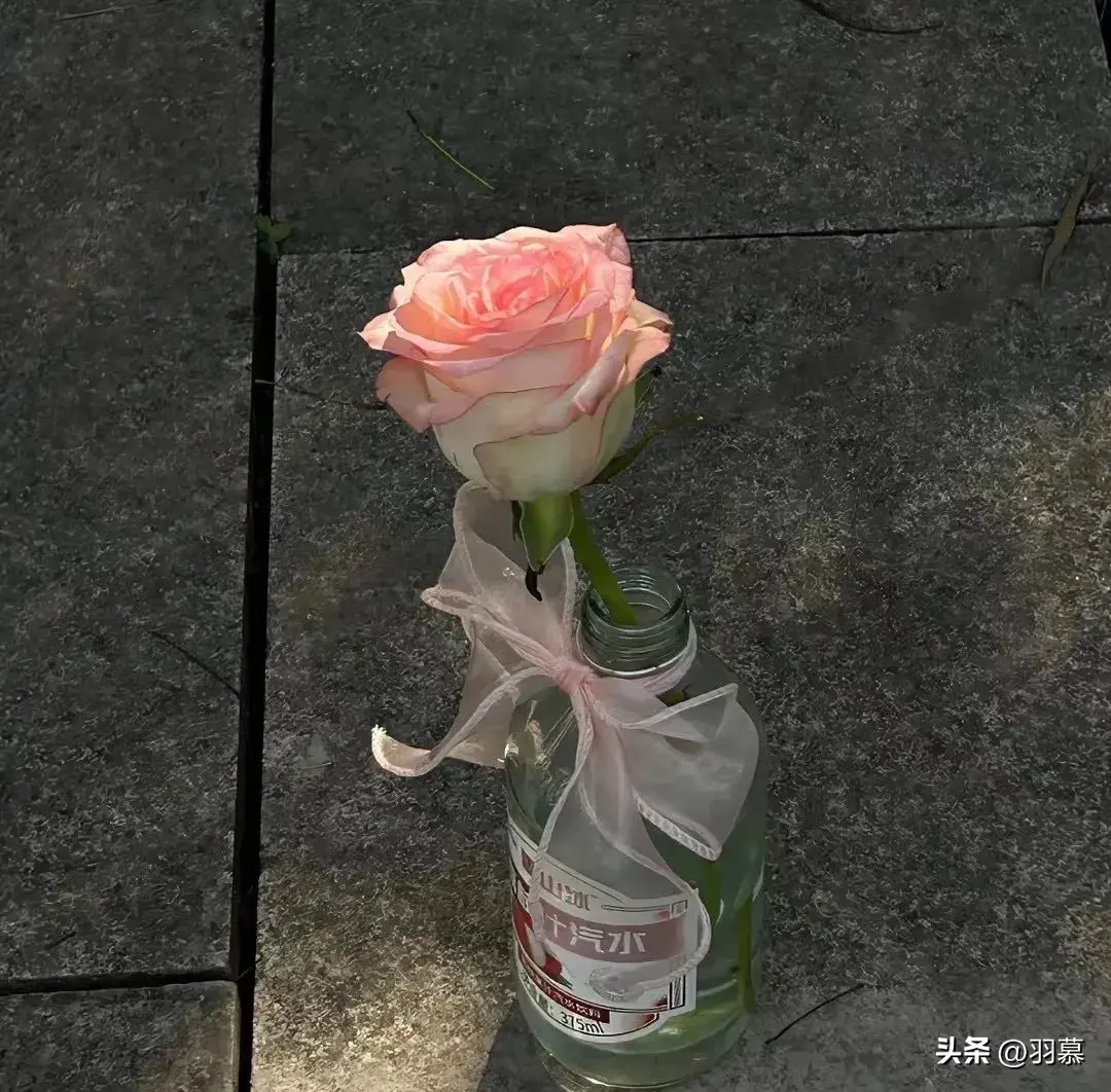 简短的无风格发圈文案