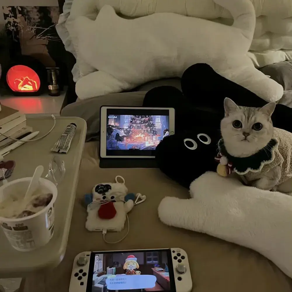 高级小众的文案（无关爱情）“不说永远，在每个瞬间”