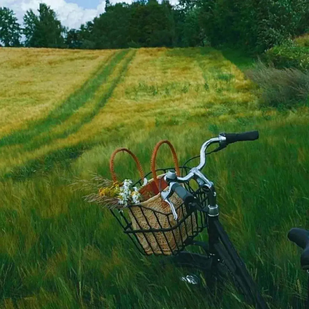 超有烟火气的日常发圈文案