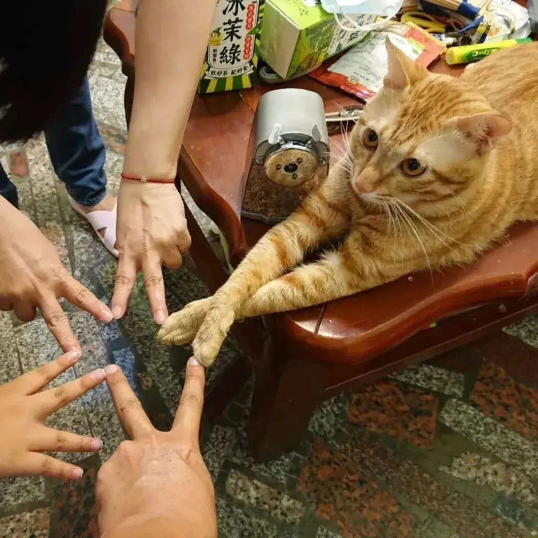 超有烟火气的日常发圈文案