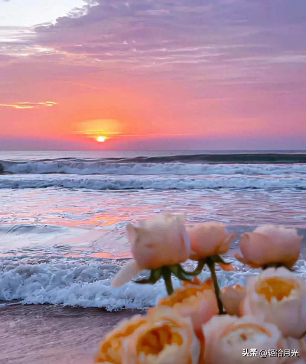 文案｜唯美动人，适合发朋友圈的神级文案