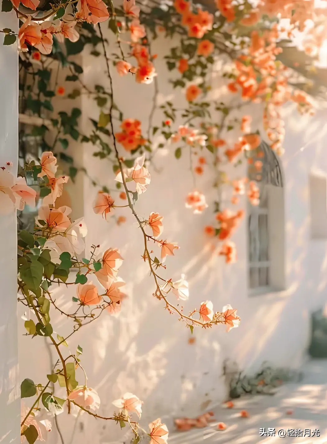 文案｜唯美动人，适合发朋友圈的神级文案