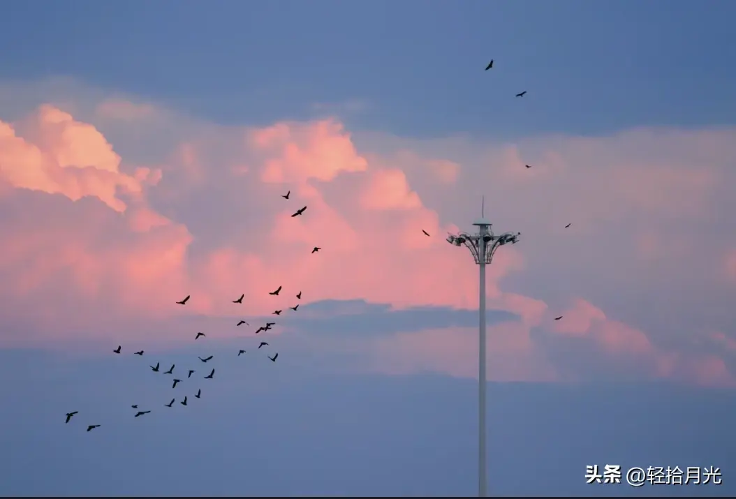 文案｜唯美动人，适合发朋友圈的神级文案