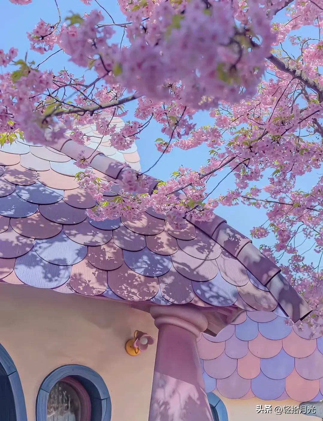 文案｜唯美动人，适合发朋友圈的神级文案