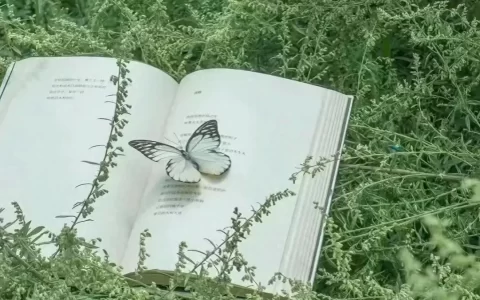 最近WeChat很火的文案小句子