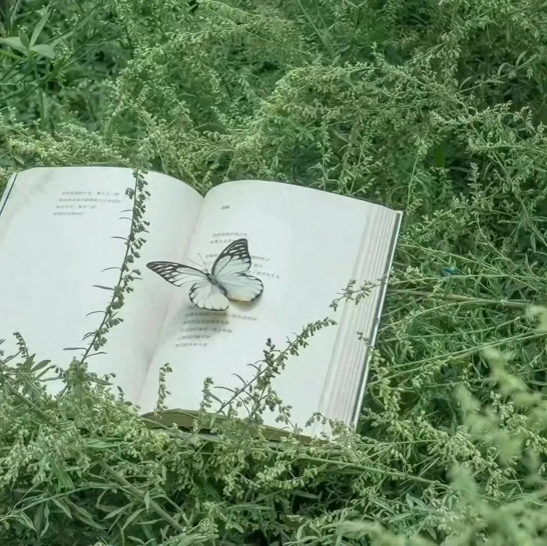 最近WeChat很火的文案小句子