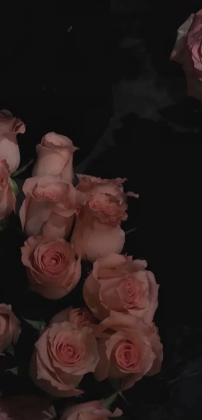 文案｜“好多话想说，好多话没说，好多话不能说。”