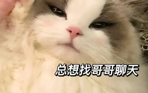 文案｜三观不正，听着却很舒服的文案