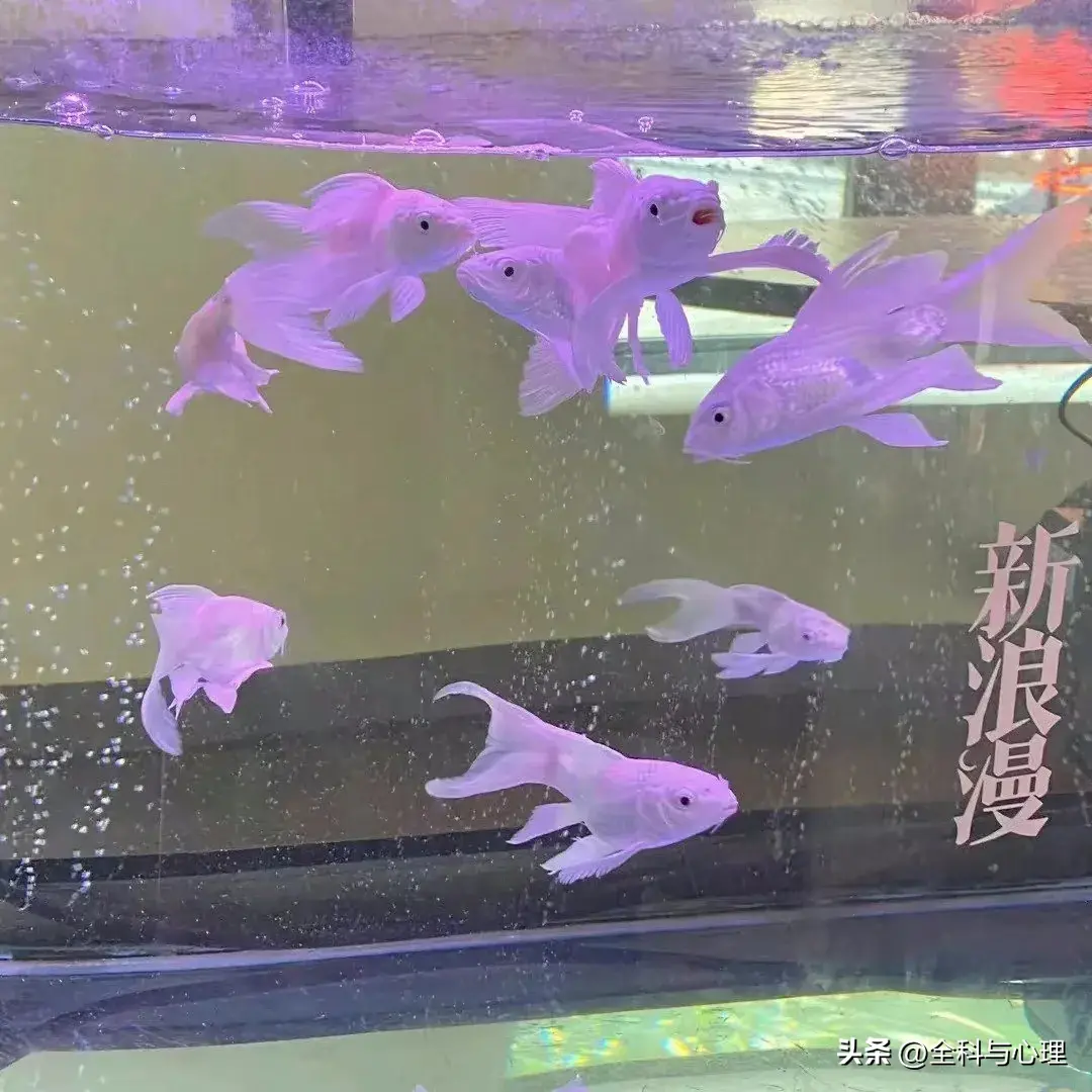 很暖很治愈的短句子，治愈心灵的文案