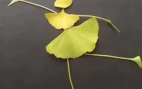 简短的温馨的早安心语语录22句