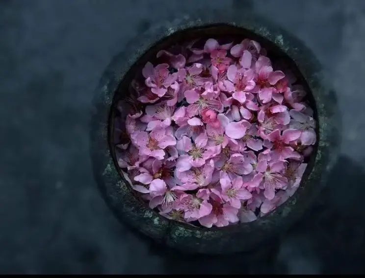 文案|放空的心是最好的礼物，独走的路有最美的风景