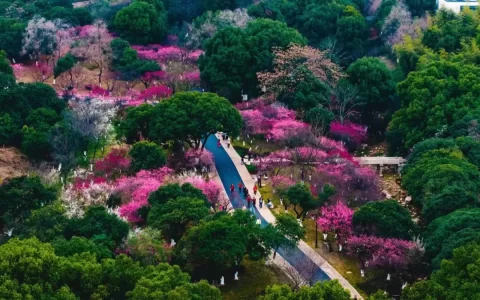 30句暖心治愈励志短句