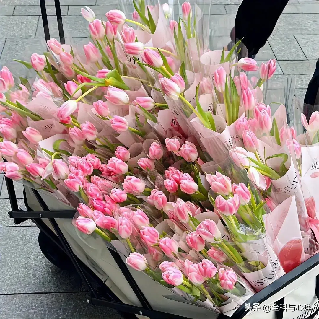 生活语录经典句子，简短而有深意的文案