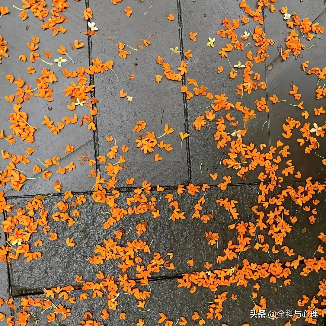 生活语录经典句子，简短而有深意的文案