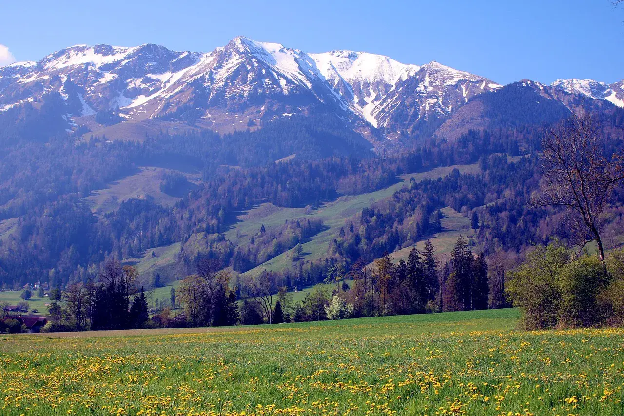 24句宁静阅读的发圈文案