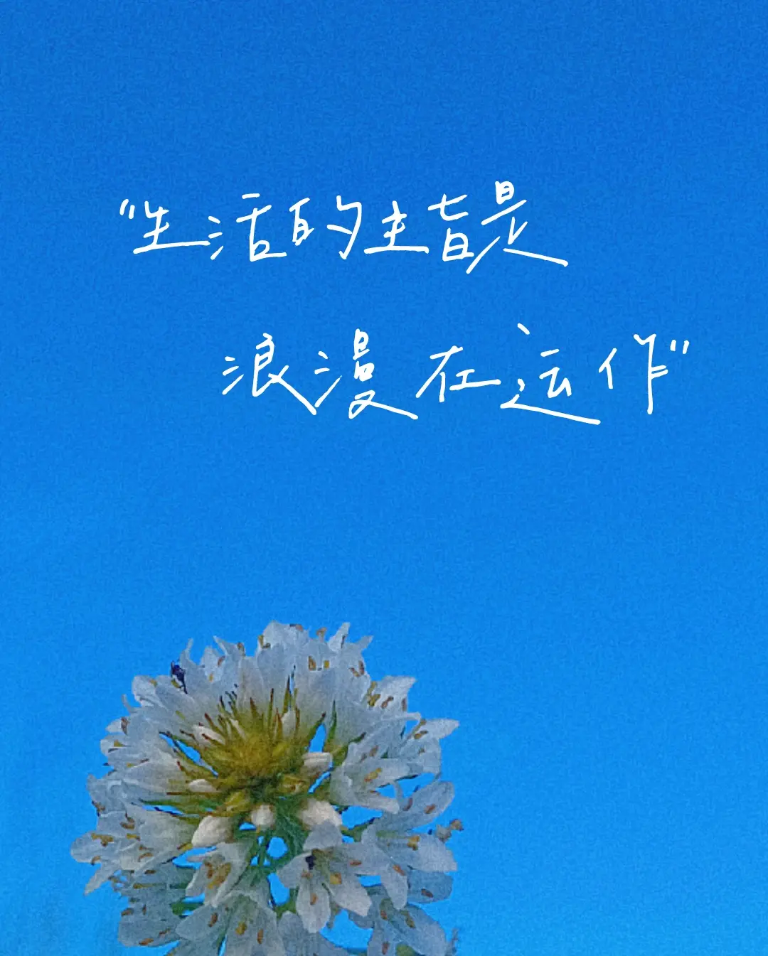 今日文案｜治愈暖心句子，致独一无二的你