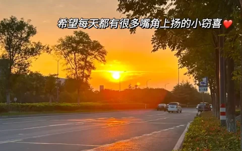 今日文案｜治愈暖心句子，致独一无二的你