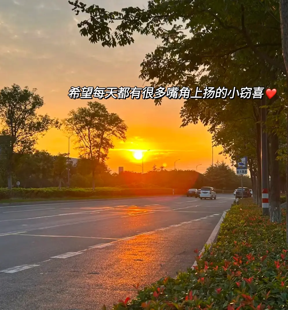 今日文案｜治愈暖心句子，致独一无二的你