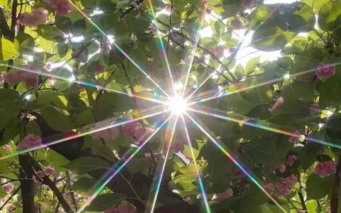 文案: 旺自己的金句，挑一句来旺自己