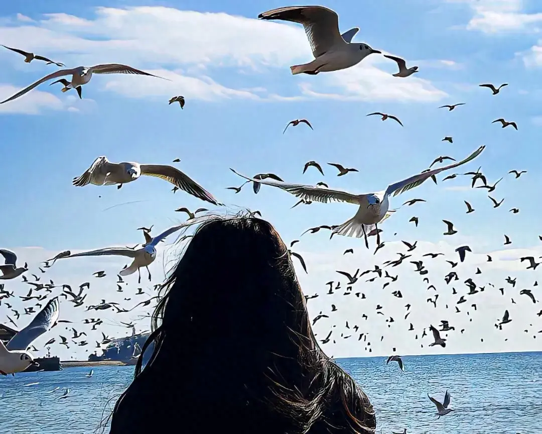 随时可以发的短句文案