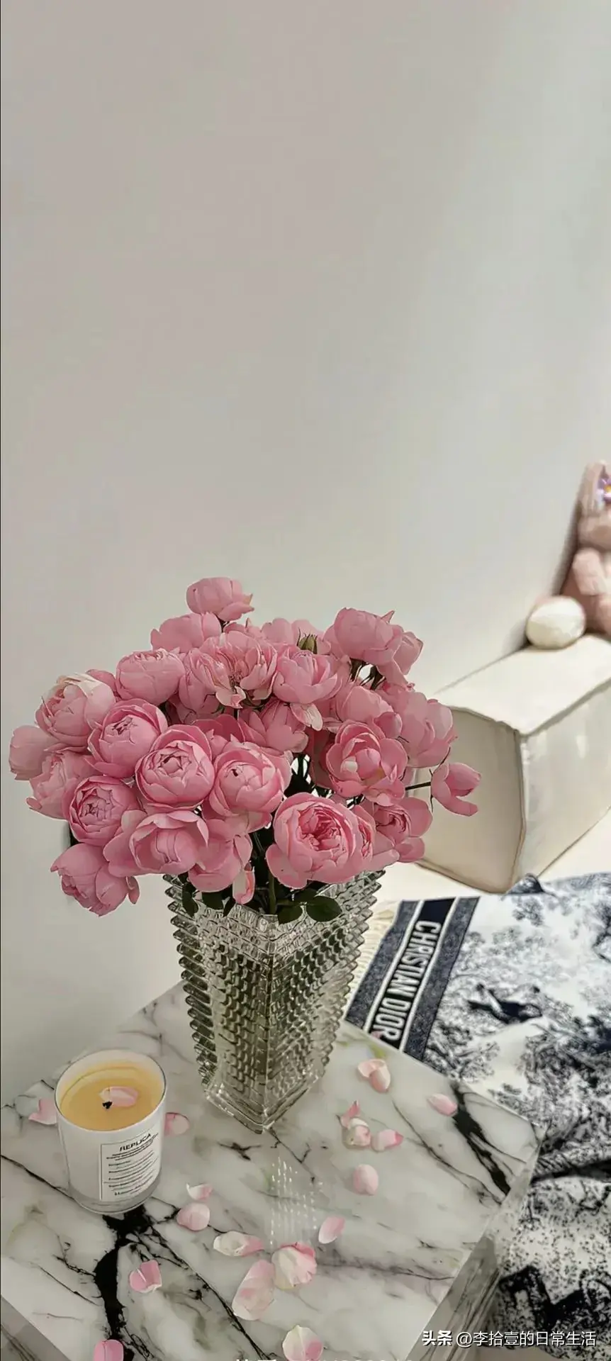 15句宝藏文案短句，一见倾心